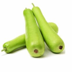 Bottle Gourd