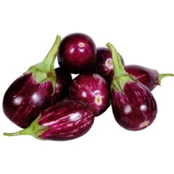 Brinjal Baby