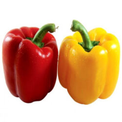 Capsicum Red Yellow