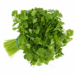 Coriander