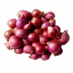 Onion Baby