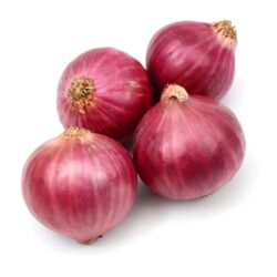 Onion Red