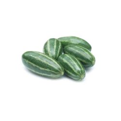 Pointed Gourd