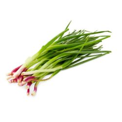 Sprint Onion